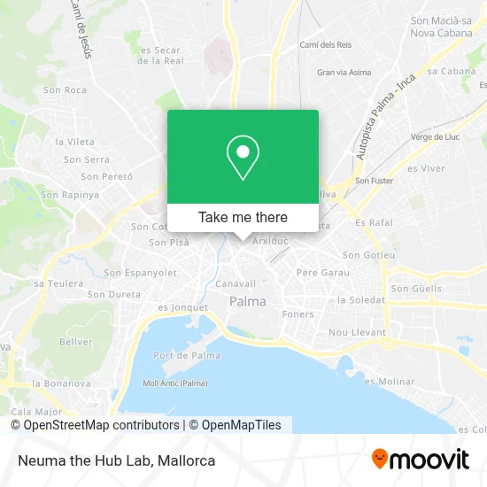 Neuma the Hub Lab map
