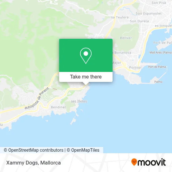 Xammy Dogs map