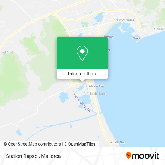 Station Repsol map