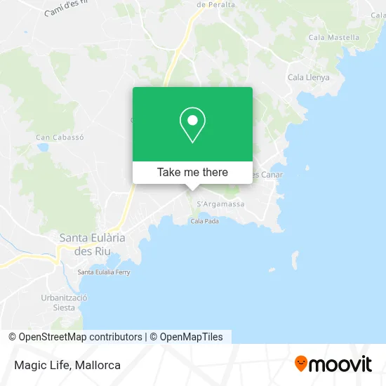 Magic Life map