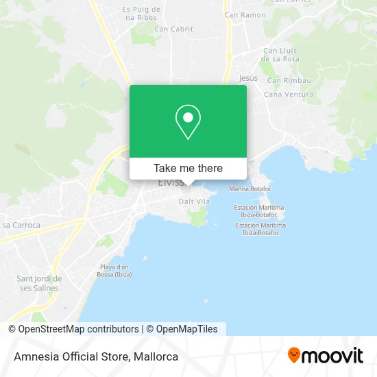 Amnesia Official Store map