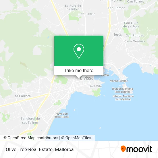 Olive Tree Real Estate map