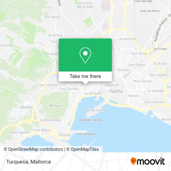 Turquesa map