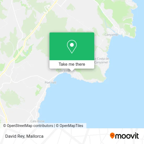 Rey David map