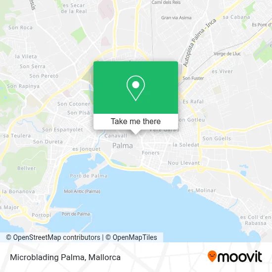 Microblading Palma map