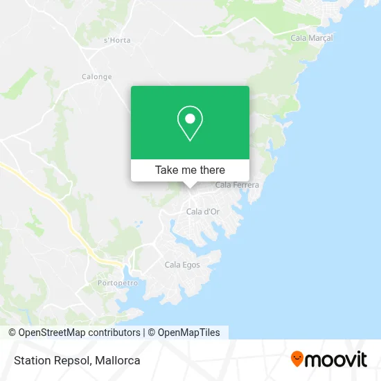 Station Repsol map