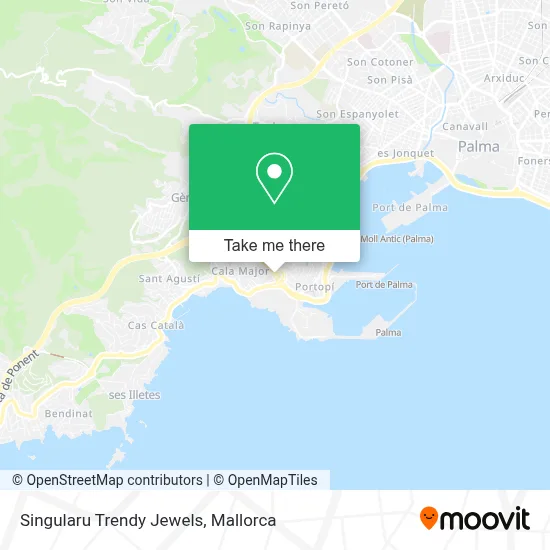Singularu Trendy Jewels map