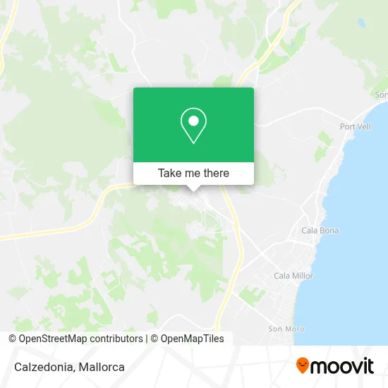 Calzedonia map