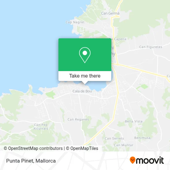 Punta Pinet map