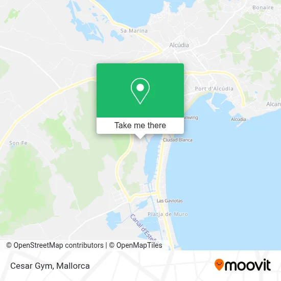 Cesar Gym map