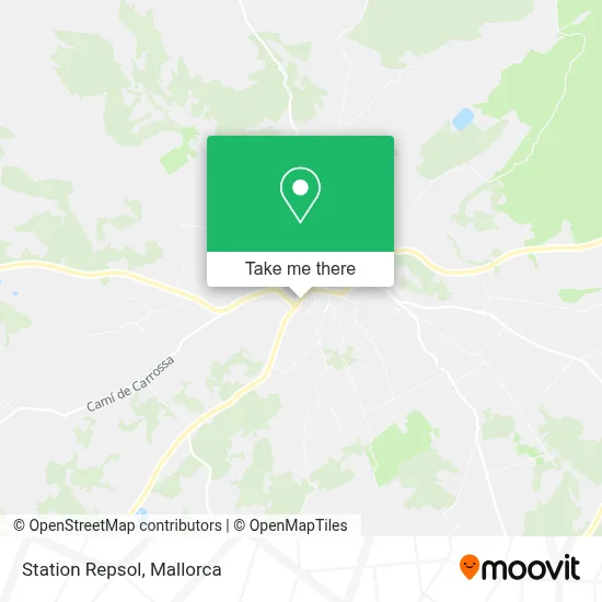 Station Repsol map
