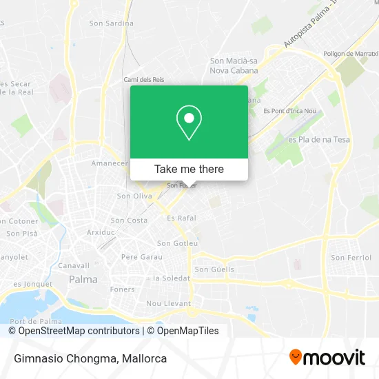 Gimnasio Chongma map