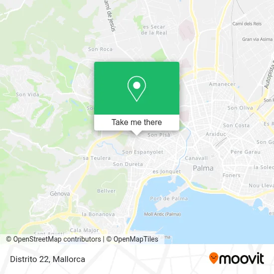 Distrito 22 map