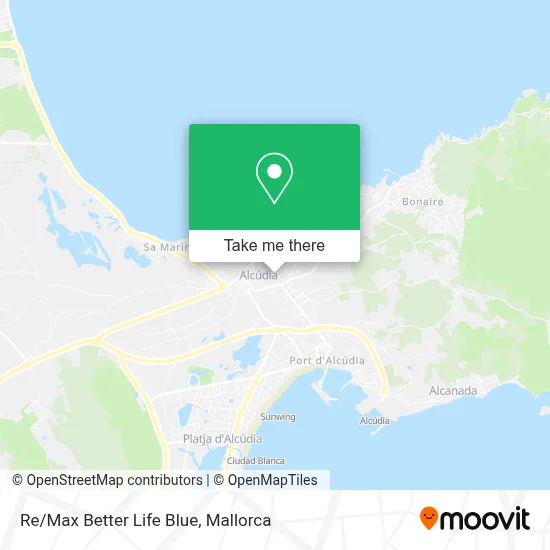 Re/Max Better Life Blue map
