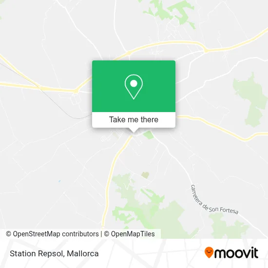 Station Repsol map