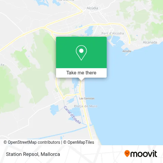 Station Repsol map