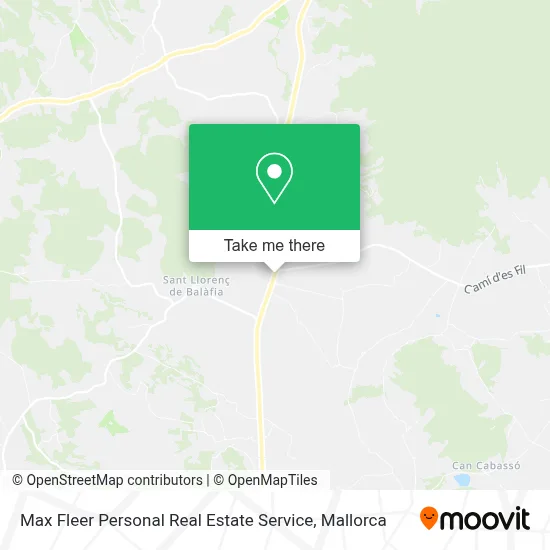 Max Fleer Personal Real Estate Service map