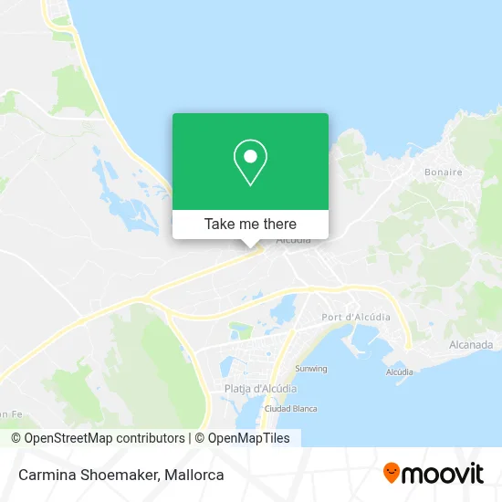Carmina Shoemaker map