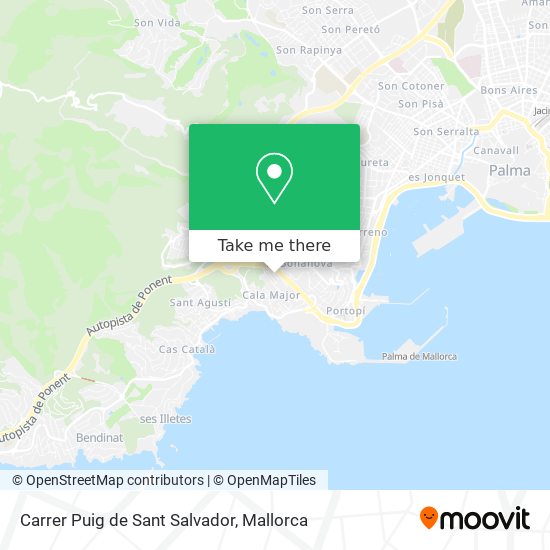 Carrer Puig de Sant Salvador map