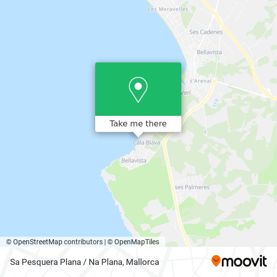 mapa Sa Pesquera Plana / Na Plana