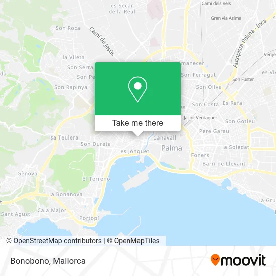 Bonobono map