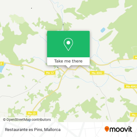 Restaurante es Pins map