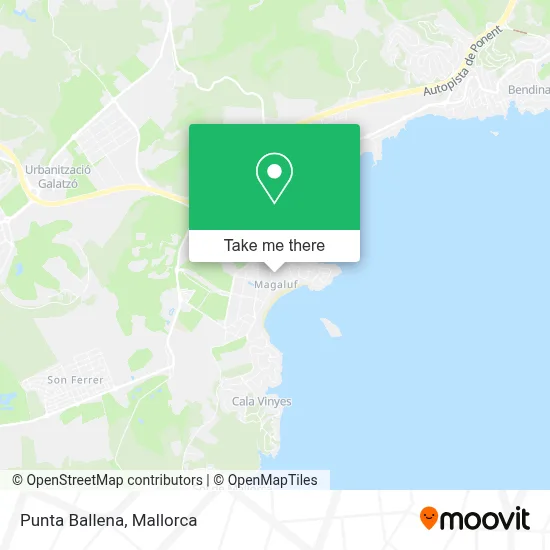 Punta Ballena map