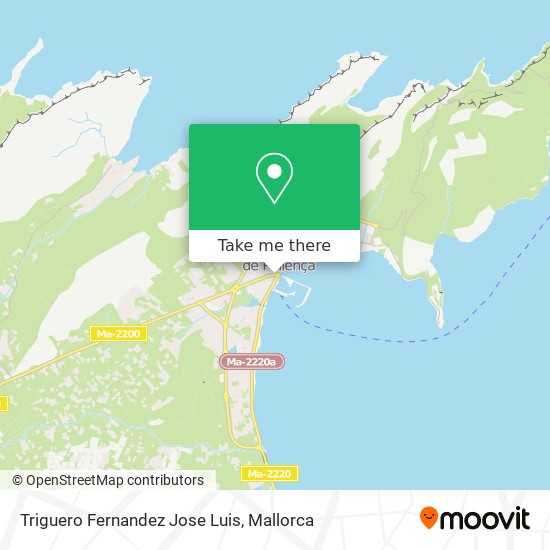 Triguero Fernandez Jose Luis map