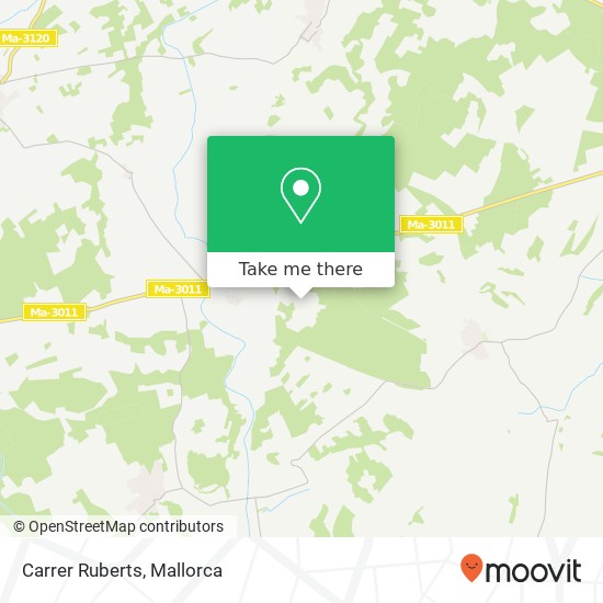 mapa Carrer Ruberts