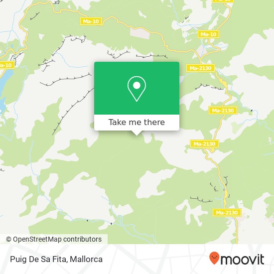 Puig De Sa Fita map