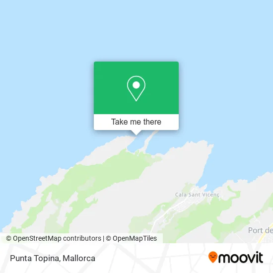 Punta Topina map