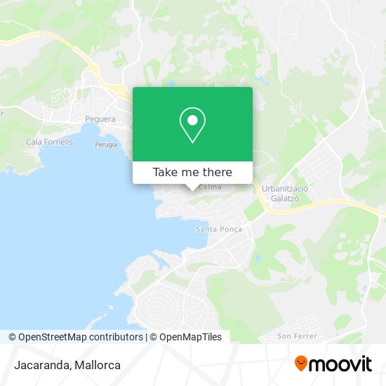 Jacaranda map