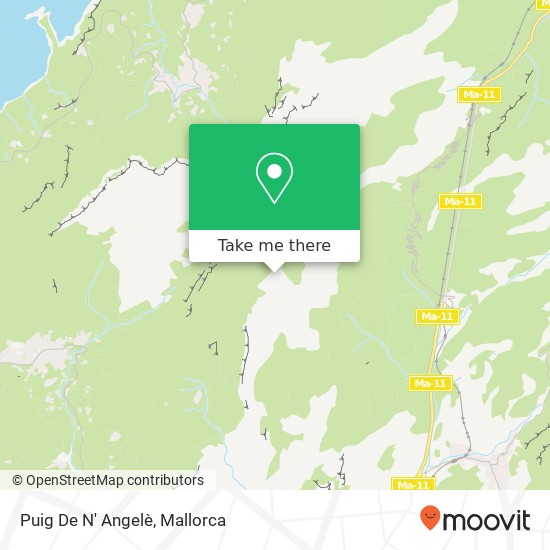 Puig De N' Angelè map