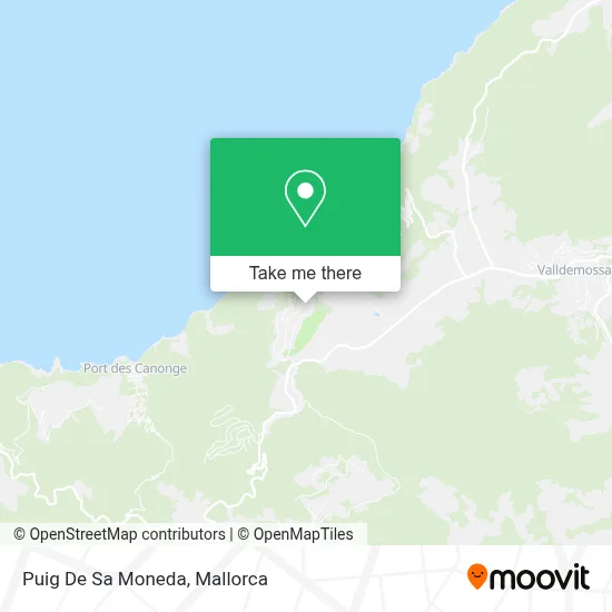 Puig De Sa Moneda map