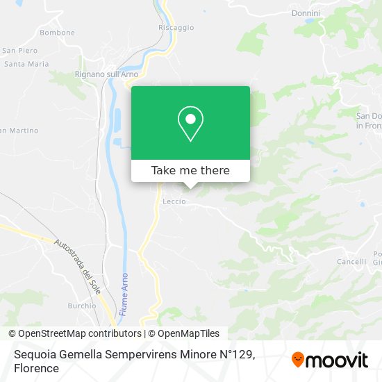 Sequoia Gemella Sempervirens Minore N°129 map