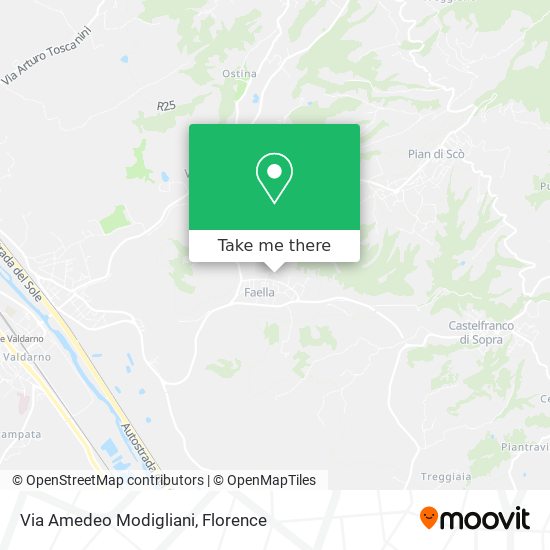Via Amedeo Modigliani map