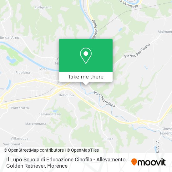 Il Lupo Scuola di Educazione Cinofila - Allevamento Golden Retriever map