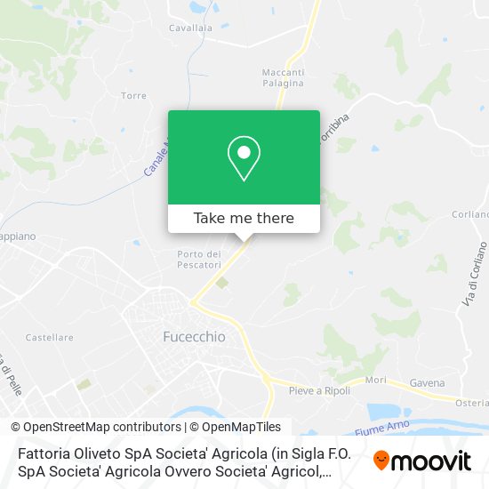 Fattoria Oliveto SpA Societa' Agricola map