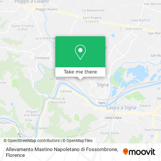 Allevamento Mastino Napoletano di Fossombrone map