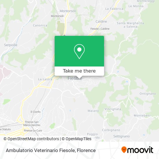 Ambulatorio Veterinario Fiesole map