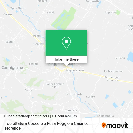 Toelettatura Coccole e Fusa Poggio a Caiano map