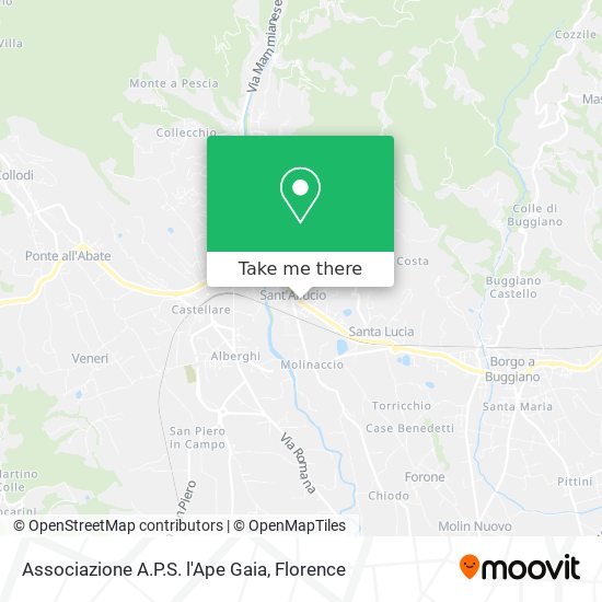 Associazione A.P.S. l'Ape Gaia map