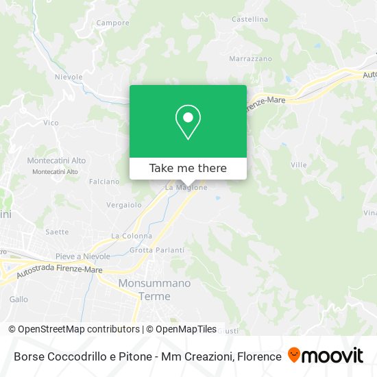 Borse Coccodrillo e Pitone - Mm Creazioni map