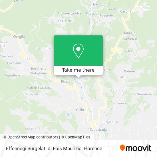 Effennegi Surgelati di Fois Maurizio map