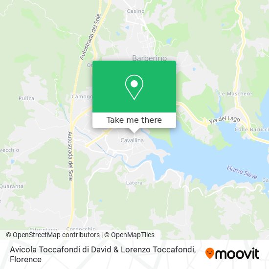 Avicola Toccafondi di David & Lorenzo Toccafondi map