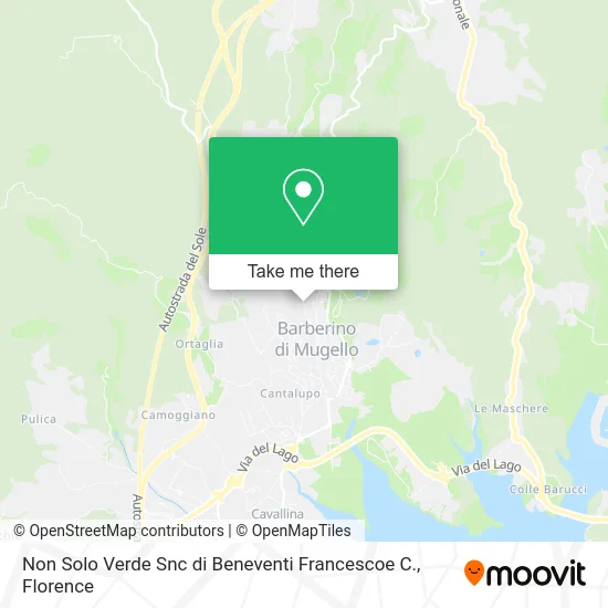 Non Solo Verde Snc di Beneventi Francescoe C. map