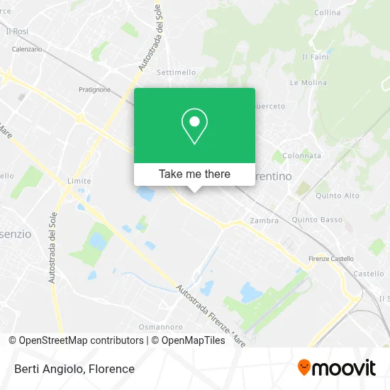 Berti Angiolo map