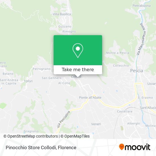 Pinocchio Store Collodi map