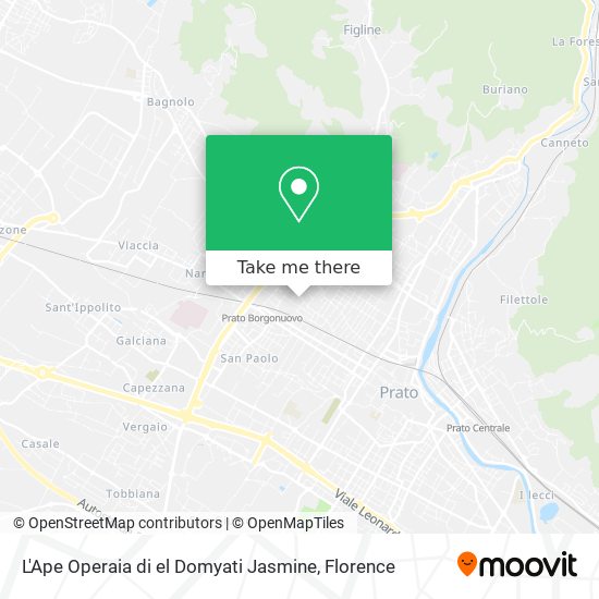 L'Ape Operaia di el Domyati Jasmine map