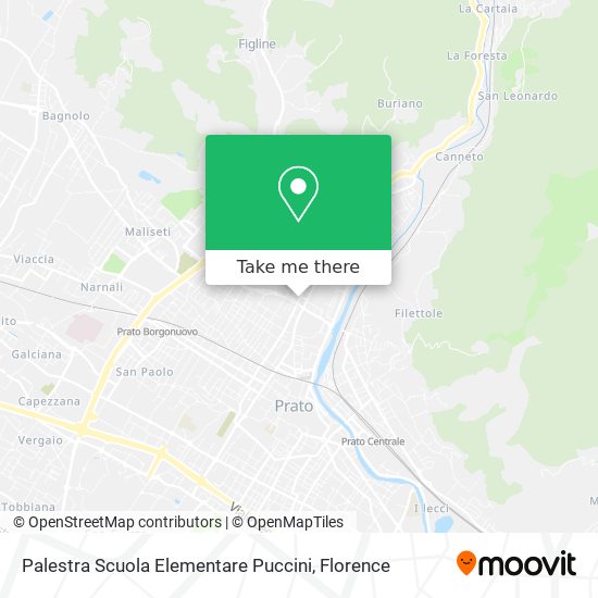 Palestra Scuola Elementare Puccini map